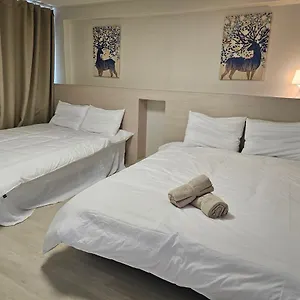 https://apt-arex-hongik-station-3min.hotelofseoul.com